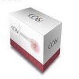 康颜护手柔滑套装【4件套】 美白保湿抗皱使之光滑白嫩