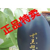 雪美姬2-A15A常白衡养 象牙白粉底液