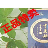 雪美姬2-B09A津泡沫滋阴乳 100ml