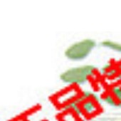 雪美姬2-C06A弹润紧致霜50g