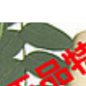 雪美姬2-C08A弹润原液20ml