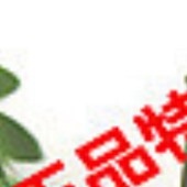 雪美姬2-C04A弹润乳液 120ml